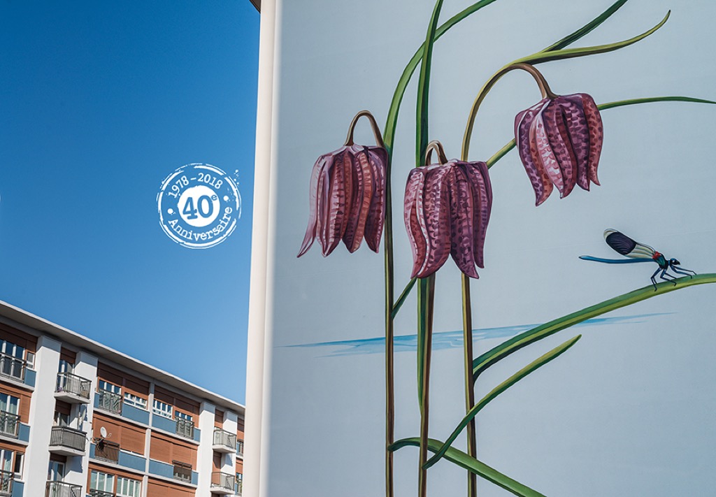 Les fresques murales des bords de Loire - Quartier du Sanitas - Tours (France)